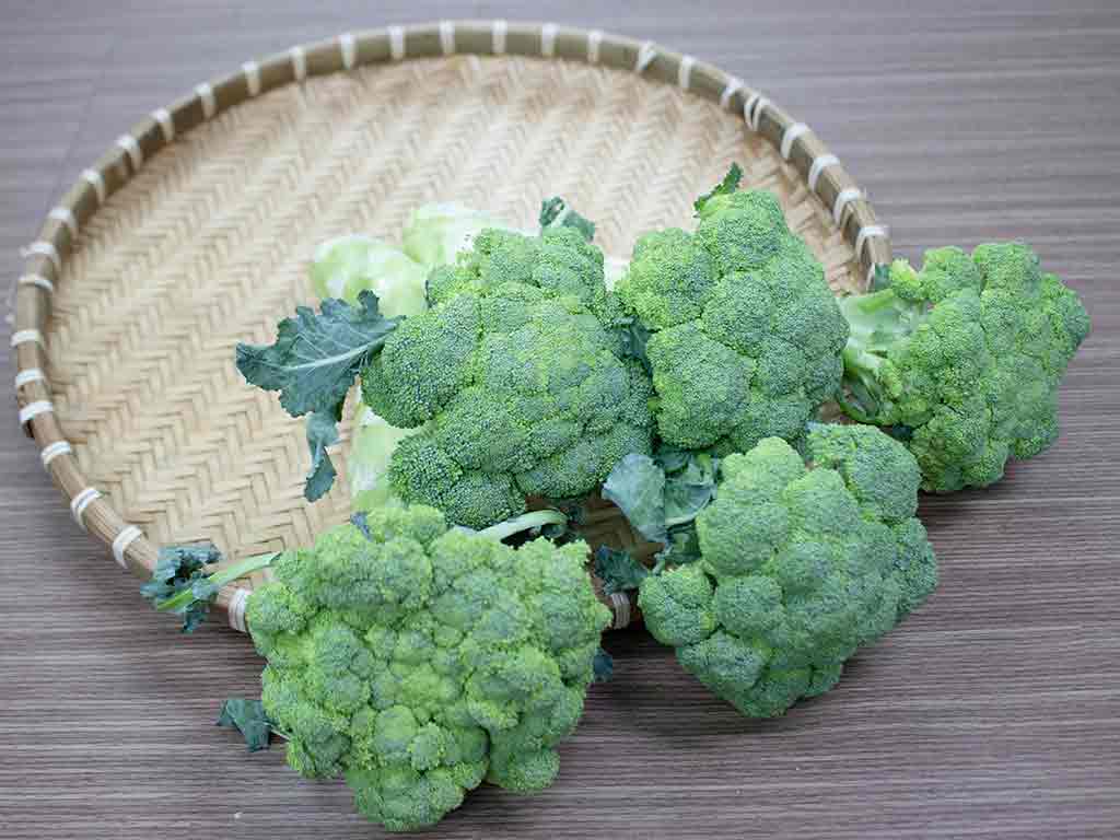 tac-dung-cua-sup-lo-xanh-4