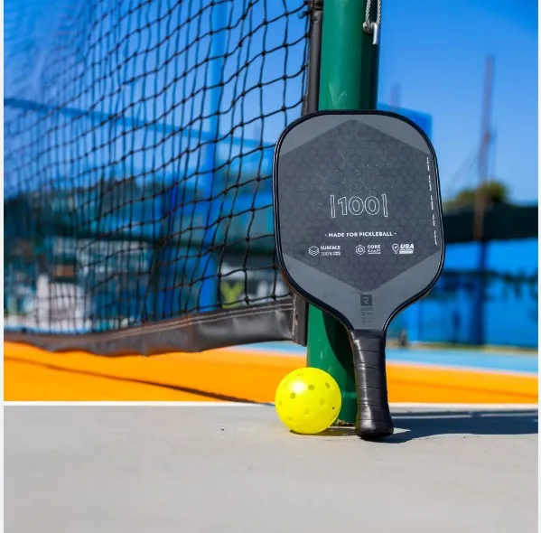 pickleball-la-mon-gi-chi-phi-choi-co-dat-do-khong-00001